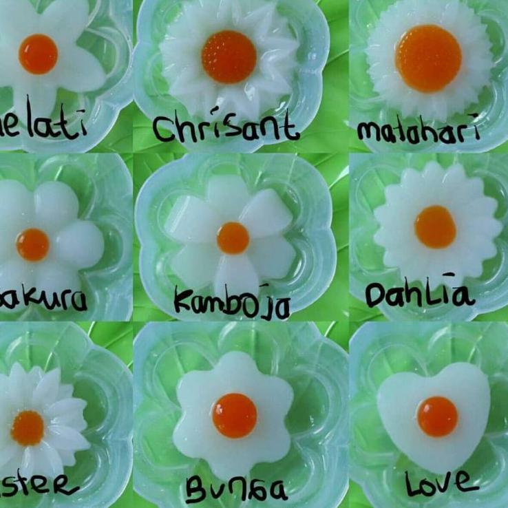 

【Penjualan Terbaik】✅COD Ceplok Bunga by Delicool (BACA DESKRIPSI PRODUK)