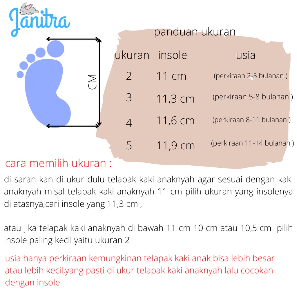 Janitra sepatu baby sepatu bayi merangkak prewalker cnvrs