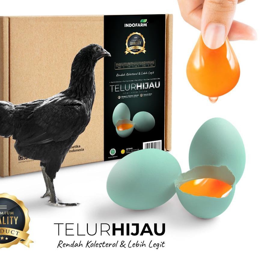 

✽ Indofarm Telur Hijau dari Ayam Hitam Rendah Kolesterol Isi 20 Butir ➻
