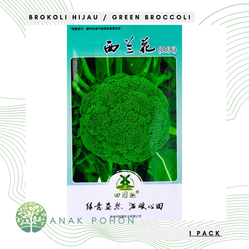 (1 PACK) Benih Brokoli Hijau / Green Broccoli Seeds Retail Pack - IMPORT