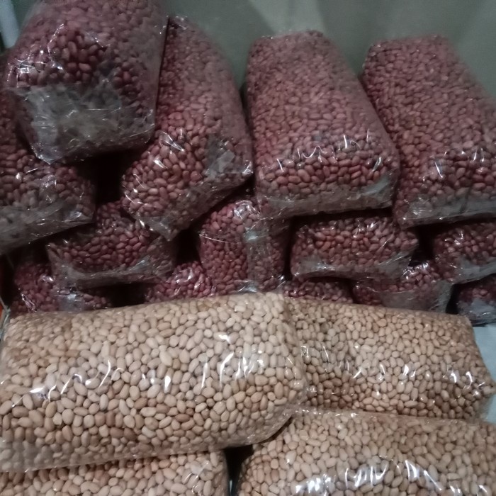Benih kacang tanah 1 kg super varietas gajah/bibit kacang tanah gajah