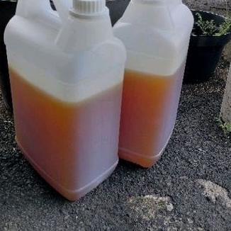 

◊ Curah TJ Isi Bersih 5 kg ♕