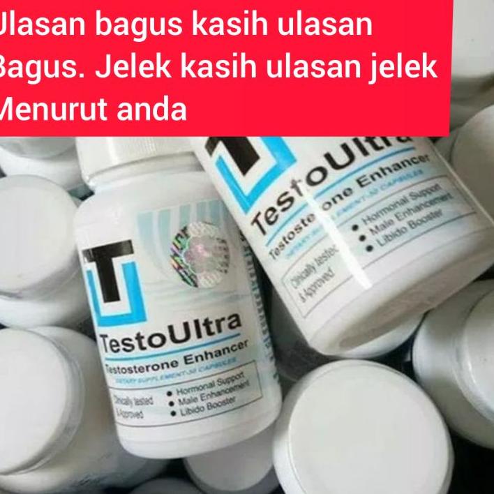 ◌ Testosteron testo hormon pria ♜