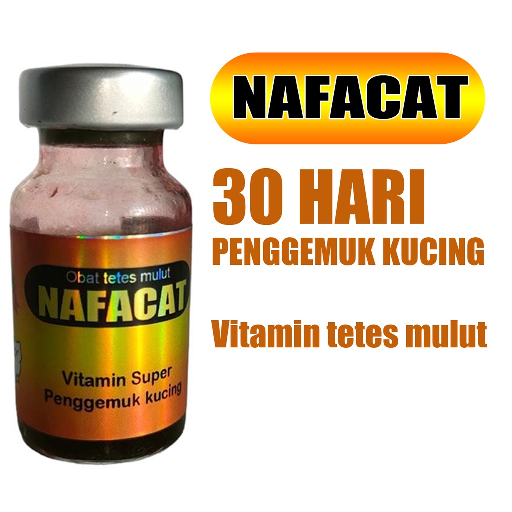 NAFACAT vitamin penggemuk kucing super dalam 30 hari menaikkan nafsu makan dan memaksimalkan penyerapan nutrisi tubuh