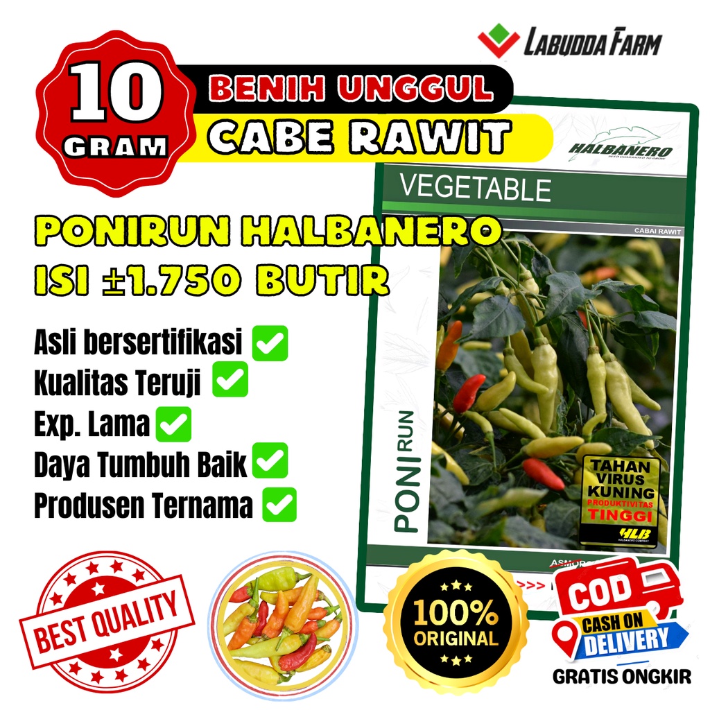Benih Cabe Rawit Ponirun 10 Gram Isi 1750 Butir Bibit Cabai Rawit Cap Halbanero Benih Lombok Tahan G