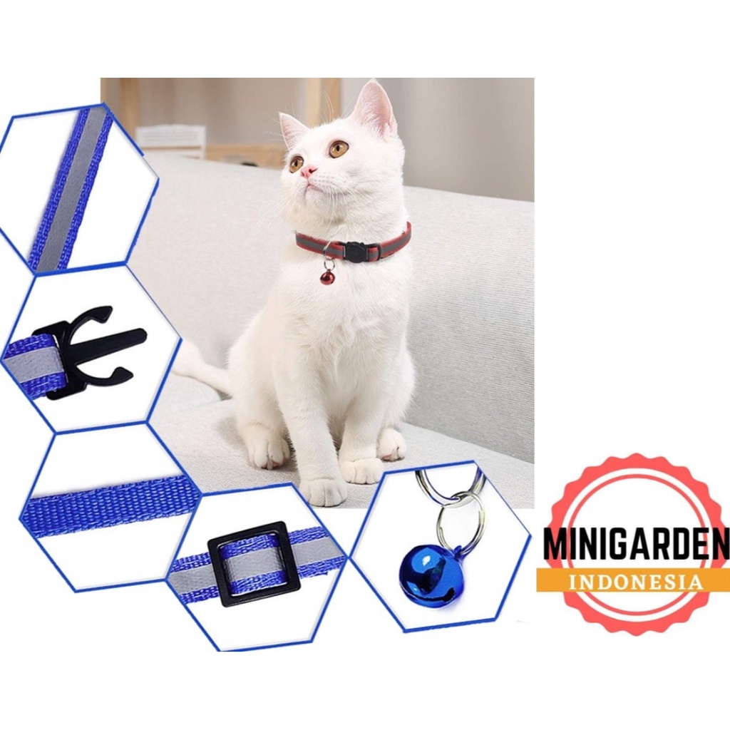 KALUNG KUCING LONCENG GLOW IN THE DARK cat collar kalung anjing