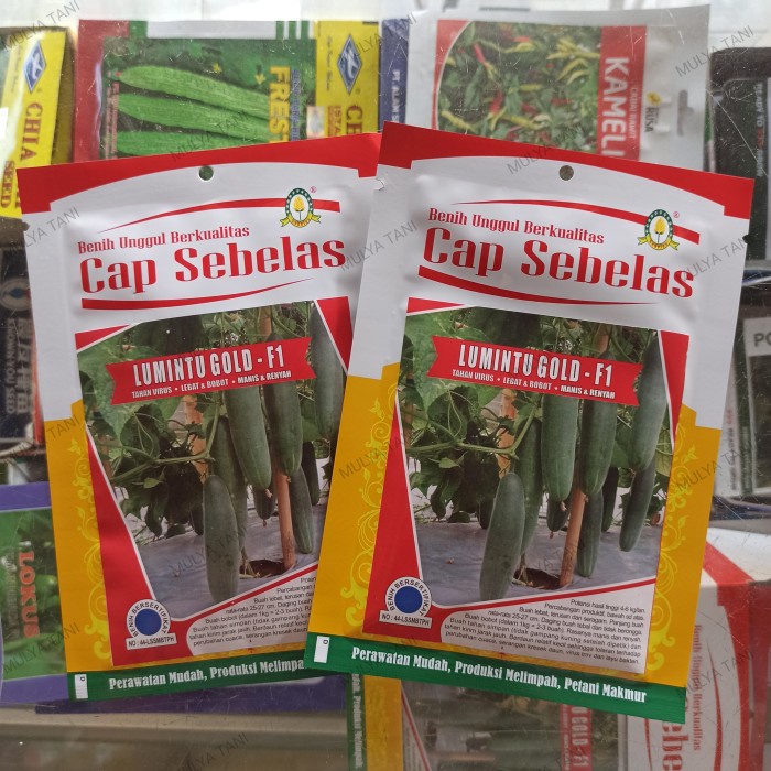 Benih Timun Lumintu Gold F1 20 Gram