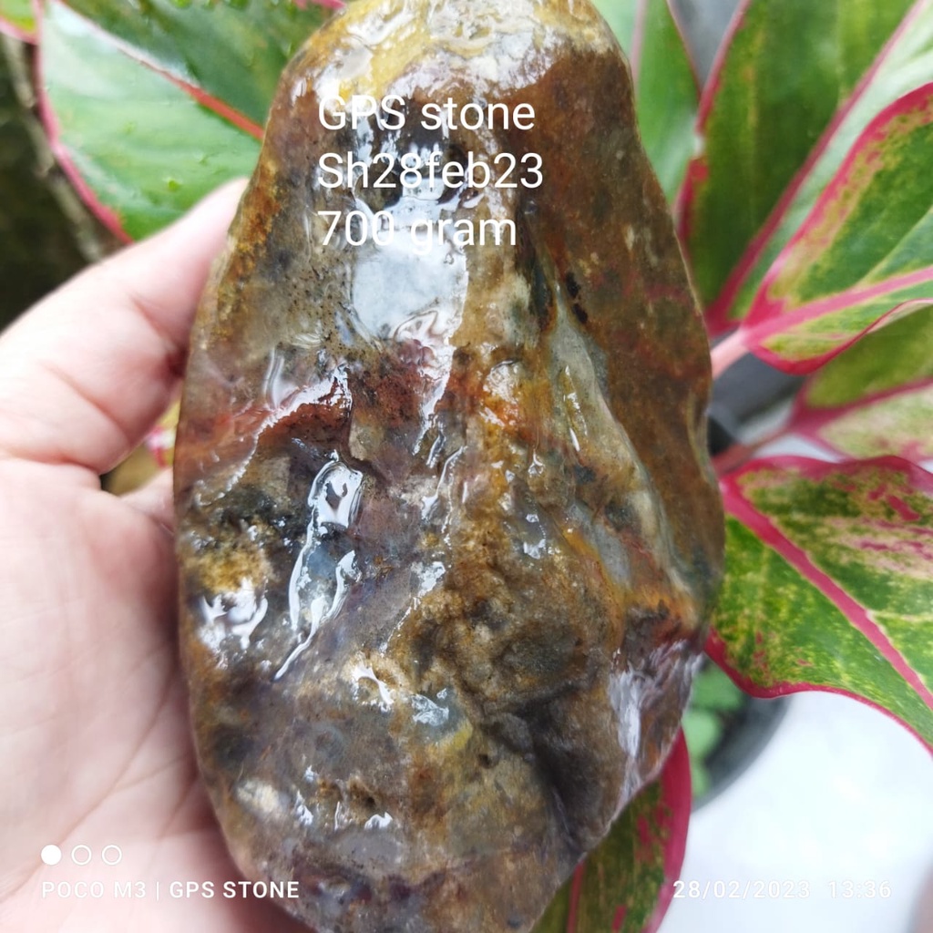 Bongkahan BADAR LUMUT KRISTAL KLAWING motif /  Rough Batu akik MOSS AGATE Ori 100% Natural Sh28F23'1