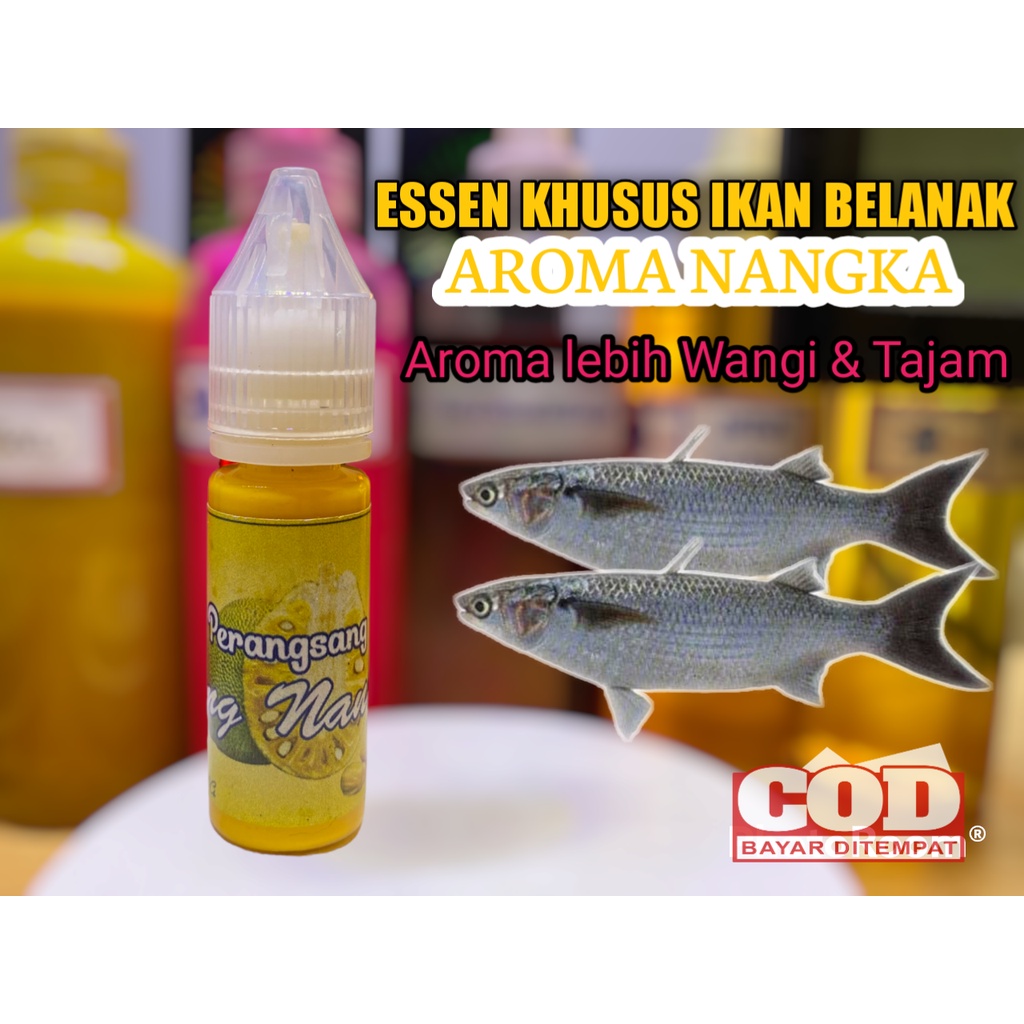 Essen Khusus Ikan Belanak Muara Paling Jitu