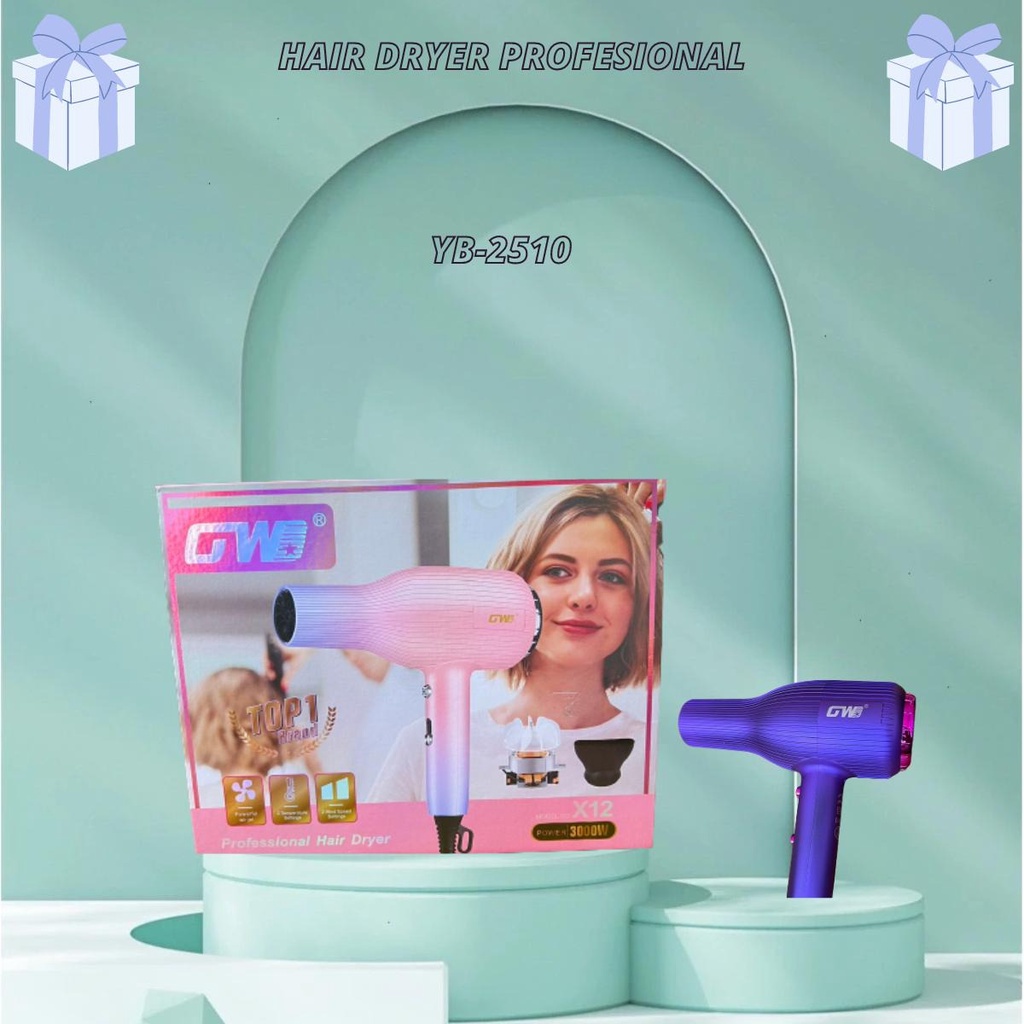 GW HAIR DRYER PROFESIONAL SALON / PENGERING RAMBUT BT-2510