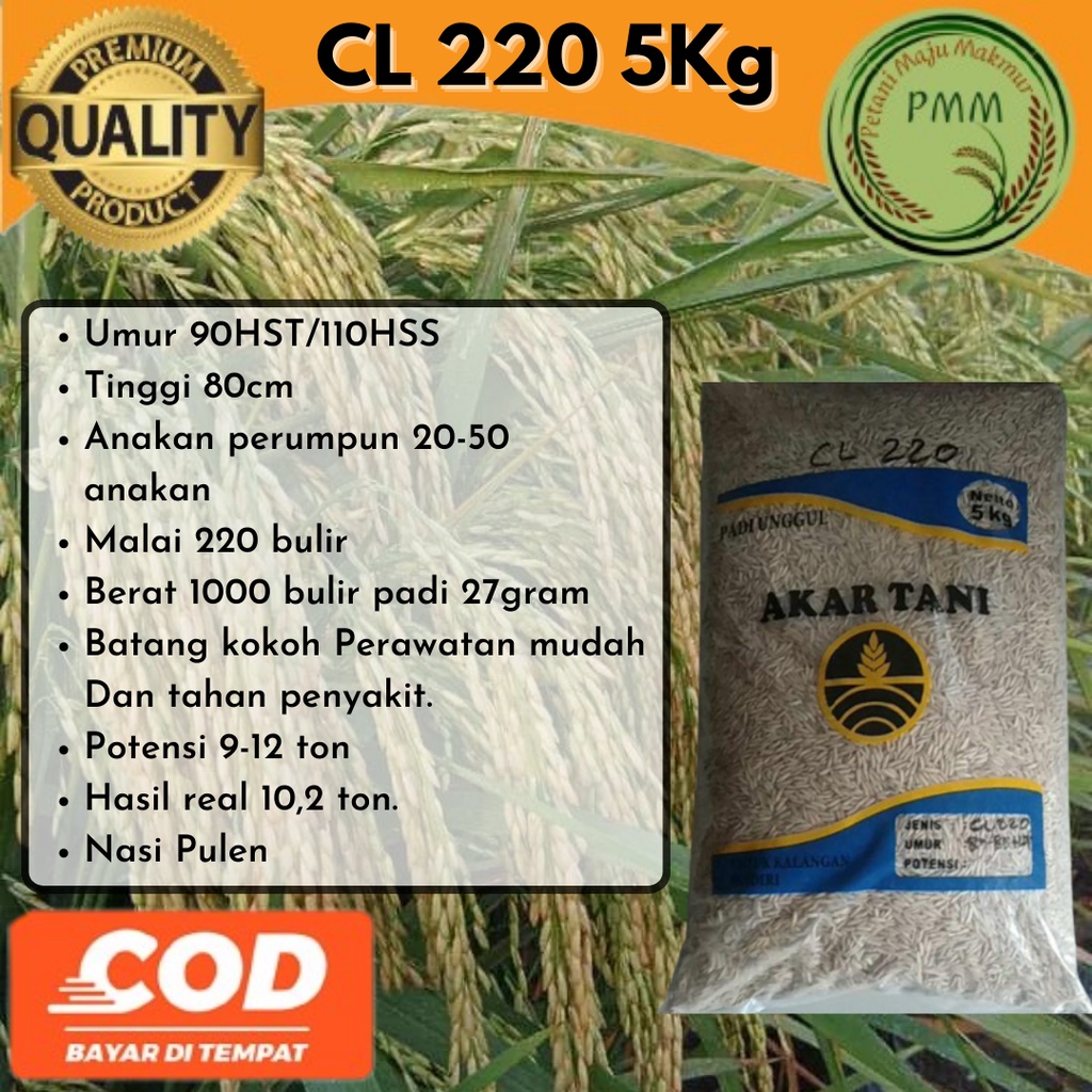 Biji Padi Unggul CL220 / Bibit Unggul 5kg CL 220