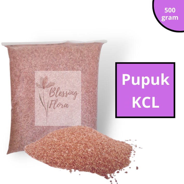 Pupuk KCL 500gram