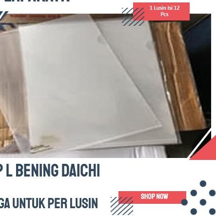 

✨ MAP BENING DAICHI A4 (per lusin) !!!