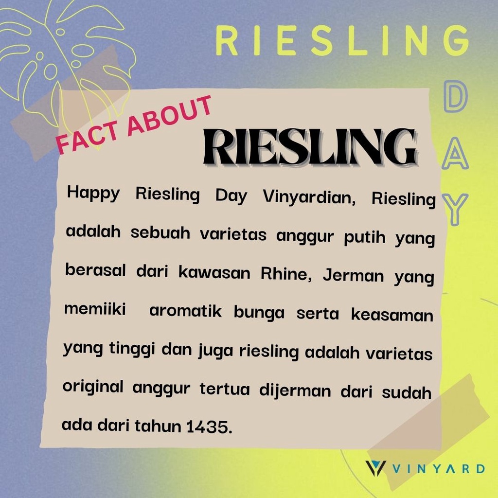 Two Islands Riesling 750 Ml White Wine ( Original &amp; Resmi By Vinyard )