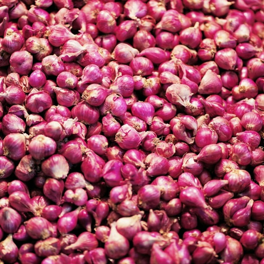 

Bawang Merah Super 500 gr