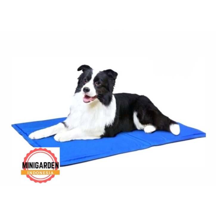 PET COOLING MAT GEL SIZE MEDIUM 40X50CM alas matras tidur pendingin anjing kucing pet cool mat