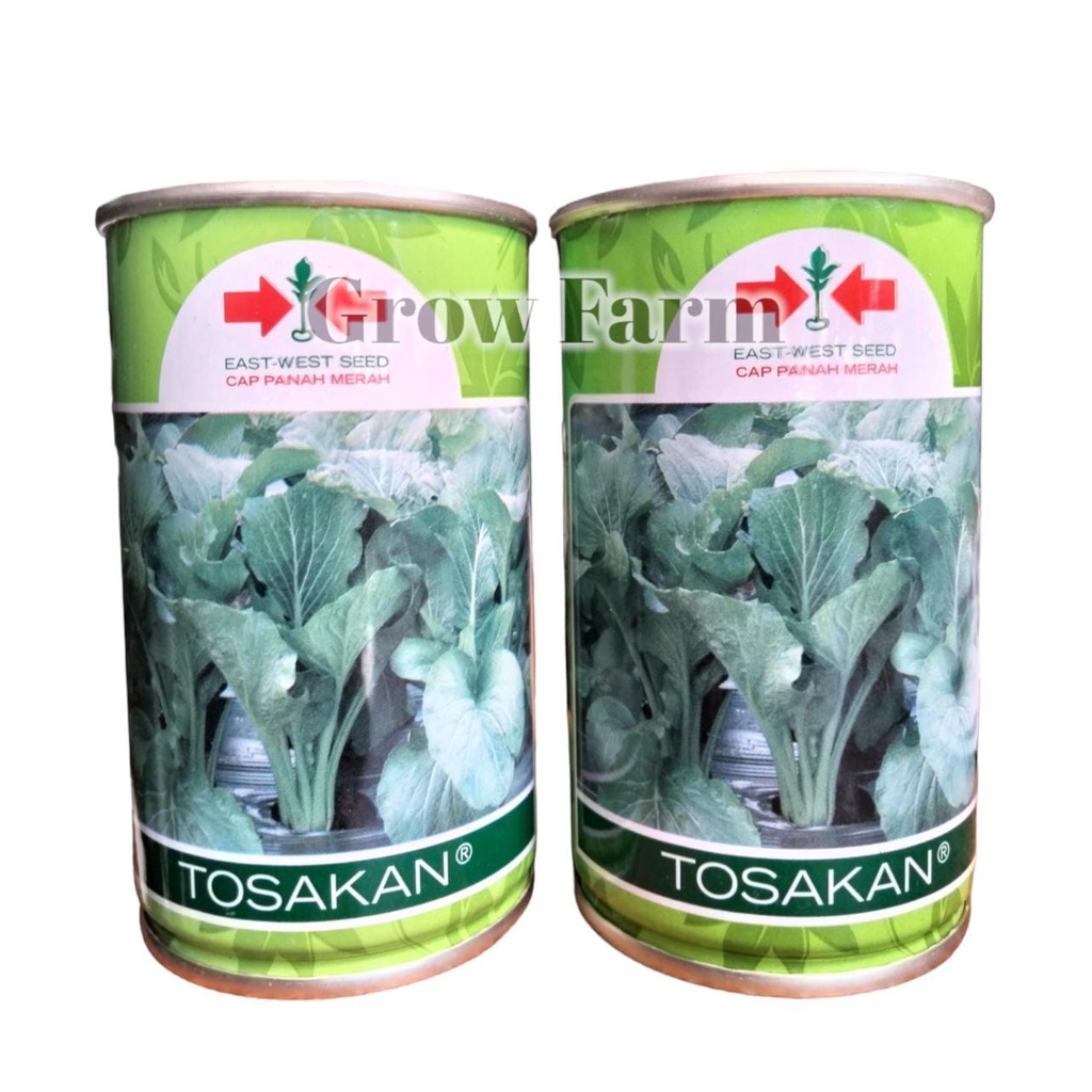 Benih Bibit Unggul Sawi Hijau Kaleng Tosakan 100gr Cap Panah Merah