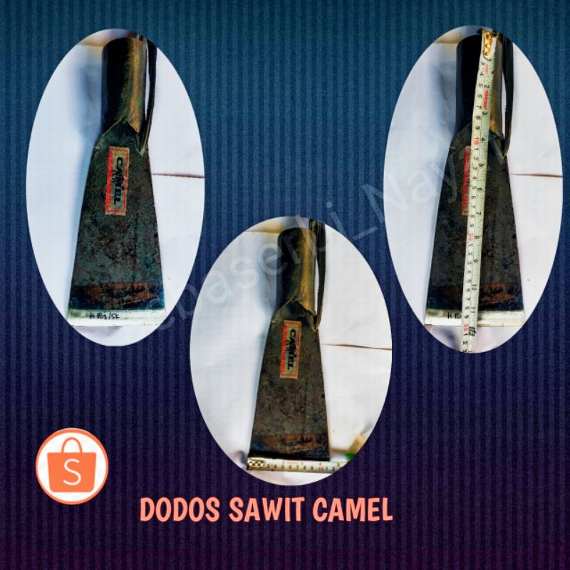 Dodos camel / dodos sawit