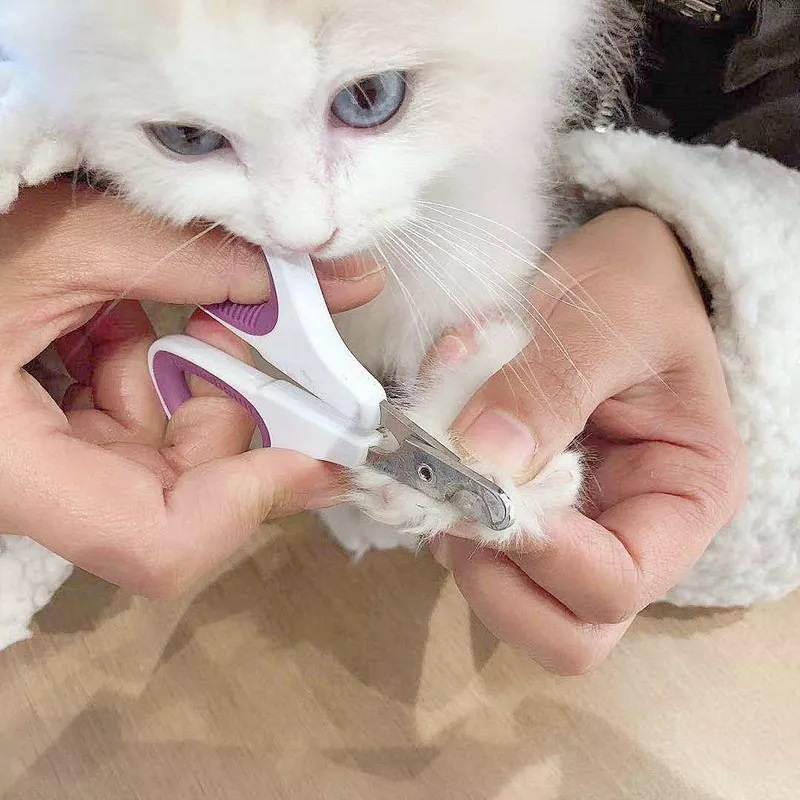 MMM NAIL CLIPPER DOG CAT GUNTING KUKU ANJING GUNTING KUKU KUCING PET NAIL TRIMMER GUNTING KUKU HEWAN MURAH