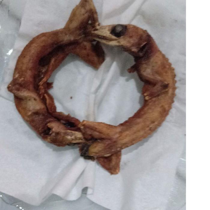 

Berkhasiat Daging Tokek Goreng Asli Bu Aminah