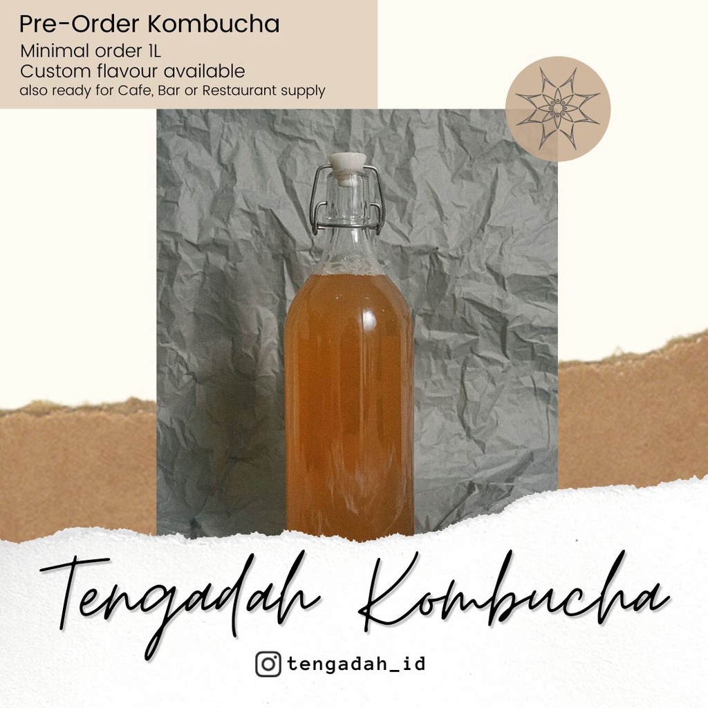 

Kombucha Tengadah