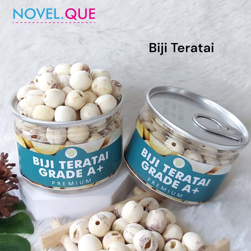 

Can Biji Teratai Grade A+ White Lotus Seed Lian Zi Kualitas Premium