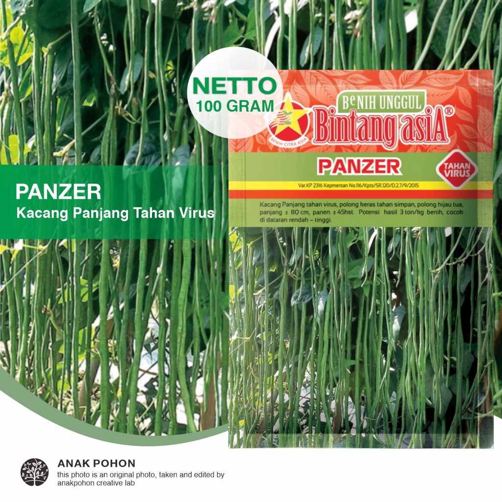 (1 PACK) Benih Kacang Panjang PANZER Tahan Virus Seeds - Bintang Asia - 100 GRAM