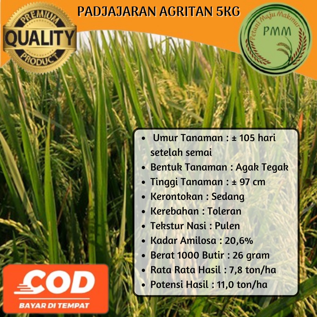 Biji Padi Unggul Padjajaran Agritan