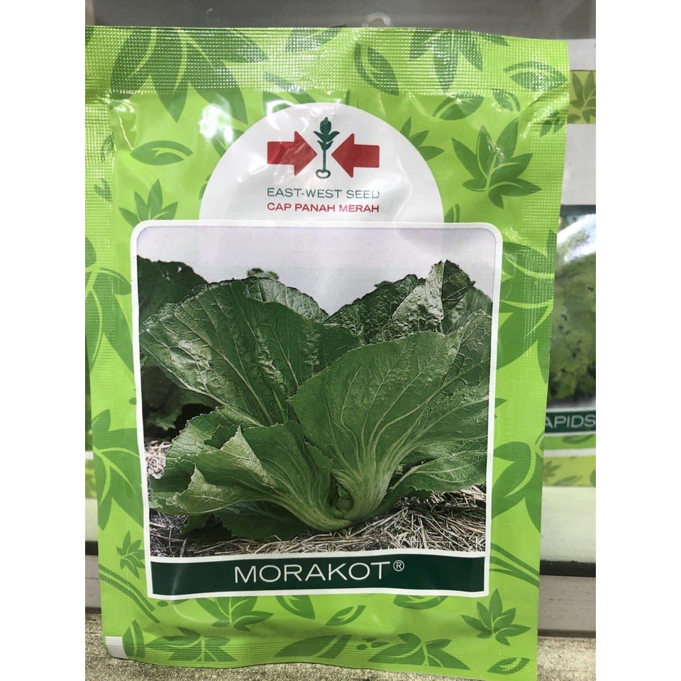 BIBIT SAWI PAHIT MORAKOT KEMASAN 20 GR