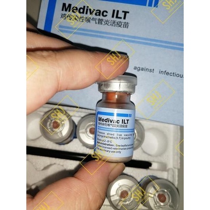 VAKSIN AKTIF MEDIVAC ILT 500 EKOR