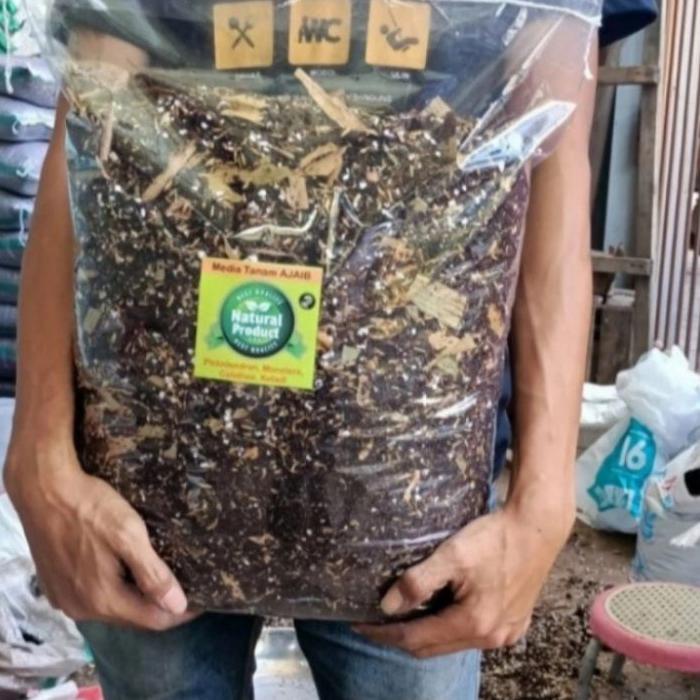 ✶ media tanam ajaib 5 kg, metan aglonema, varigata, premium ☺