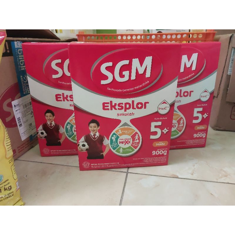 

SGM EKSPLORE 5+ MADU/COKELAT 900 GRAM