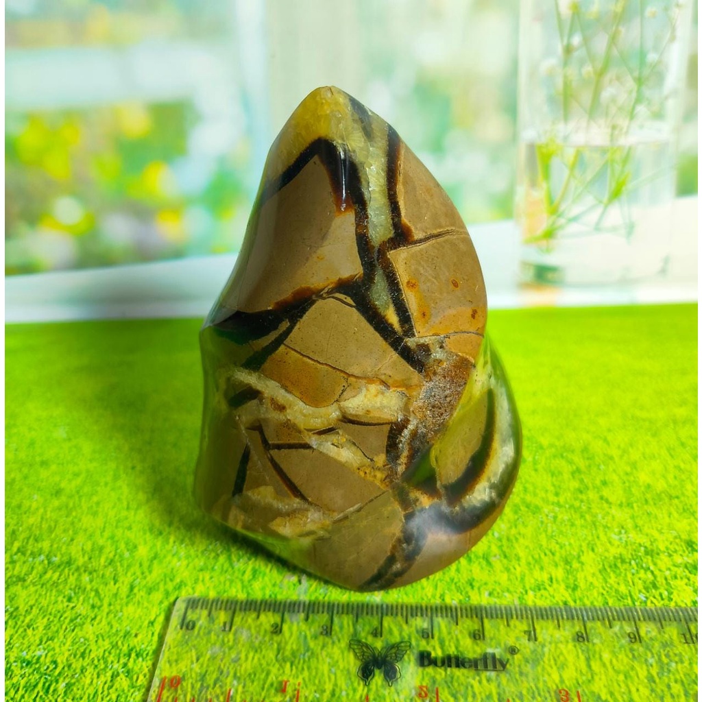 Natural Septarian Flame UV Reactive (1)