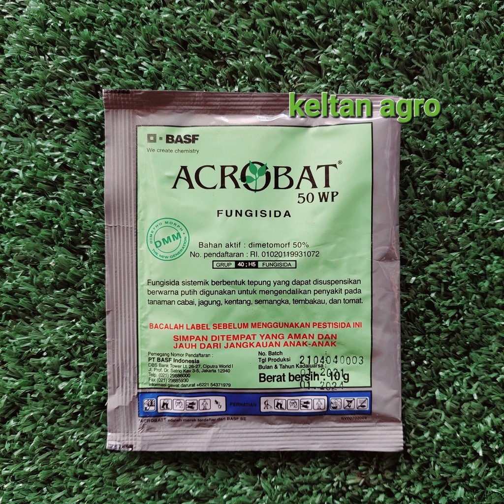 ACROBAT 50 WP ( 10 gr )