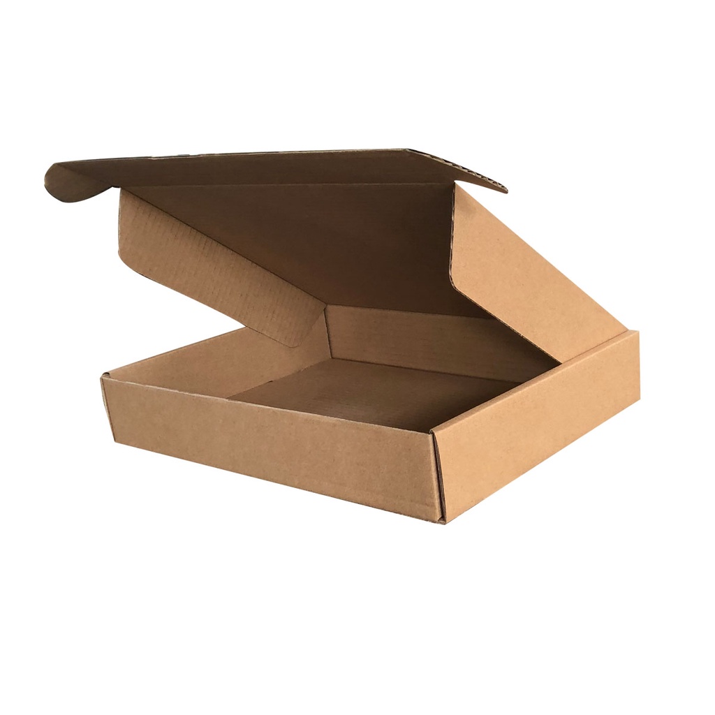 

DUS PACKING / KARDUS PACKING 25 X 20 X 5CM