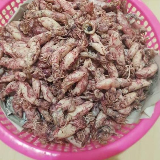 

◘ Cumi asin 1kg ♂