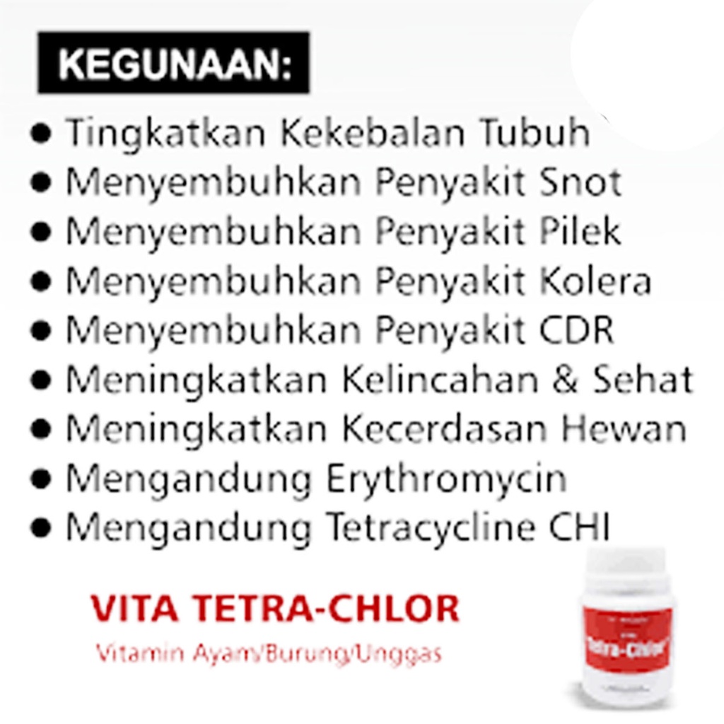 Vita Tetra Chlor 50 Kapsul Obat untuk Ayam Sakit Ayam Ngorok Pilek CRD Vitamin Ayam Bisa Untuk Ikan Tetra-chlor