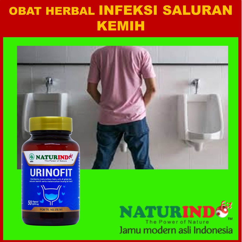 Herbal infeksi saluran kemih Obat Batu Ginjal Dan Pelancar Saluran Kemih Obat Susah Buang Air Kecil 