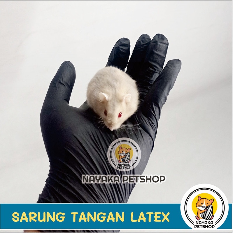 Sarung Tangan Karet Latex Hewan Anti Kotor Basah Hamster Sugar Glider Kucing Musang