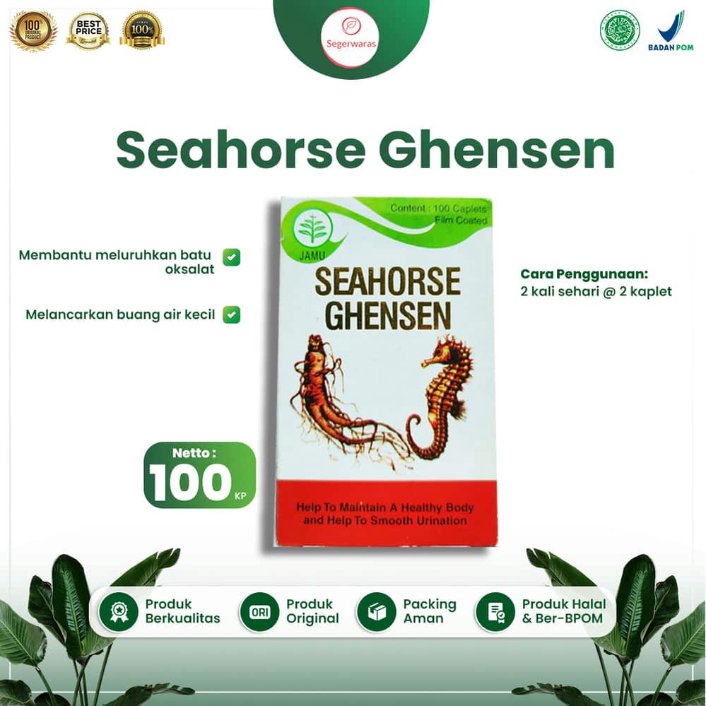 Seahorse Ghensen- Sehat Ginjal Mengobati Batu Ginjal & Melancarkan Kencing