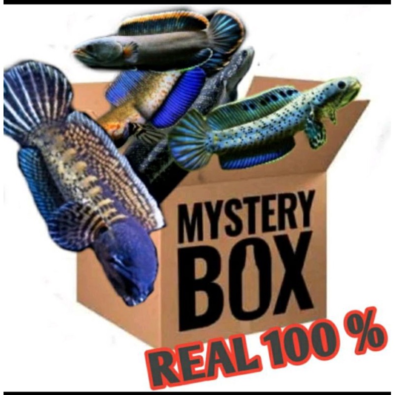 M15ter1 b0x chana isi 3, jaminan jacpot