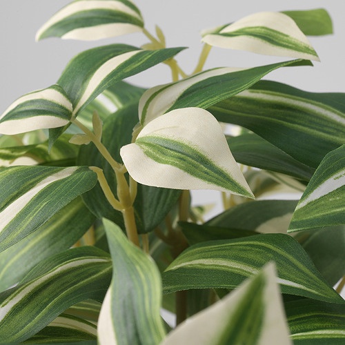 FEJKA Tanaman tiruan, tradescantia zebrina, 12 cm