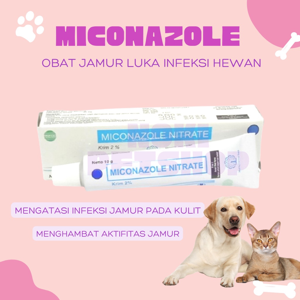 [BISA COD] OBAT SALEP MICONAZOLE NITRATE 10G JAMUR LUKA INFEKSI KUCING ANJING NON SCABIES DERMA SALEP NITRATE SHAMPOO 2% TABLET JAMUR KUCING MIKONAZOL