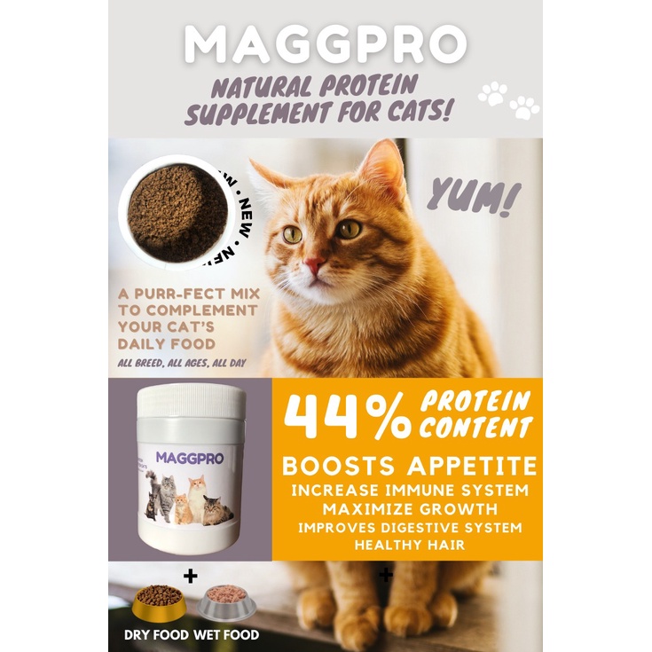 MAGGPRO Suplemen Protein Untuk Kucing 250gr - Penambah Nafsu Makan