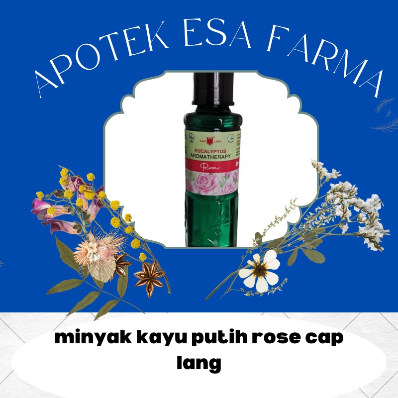 Cap Lang Minyak Kayu Putih Ekaliptus Aromatherapy rose CapLang 15ml/30ml/60ml