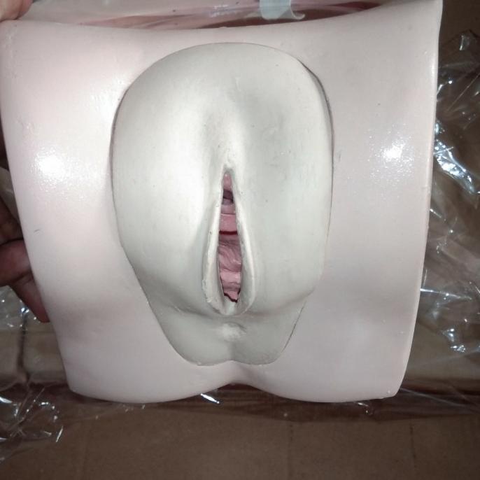 model kateter wanita/ manekin cateter perempuan/ torso kateter lge04