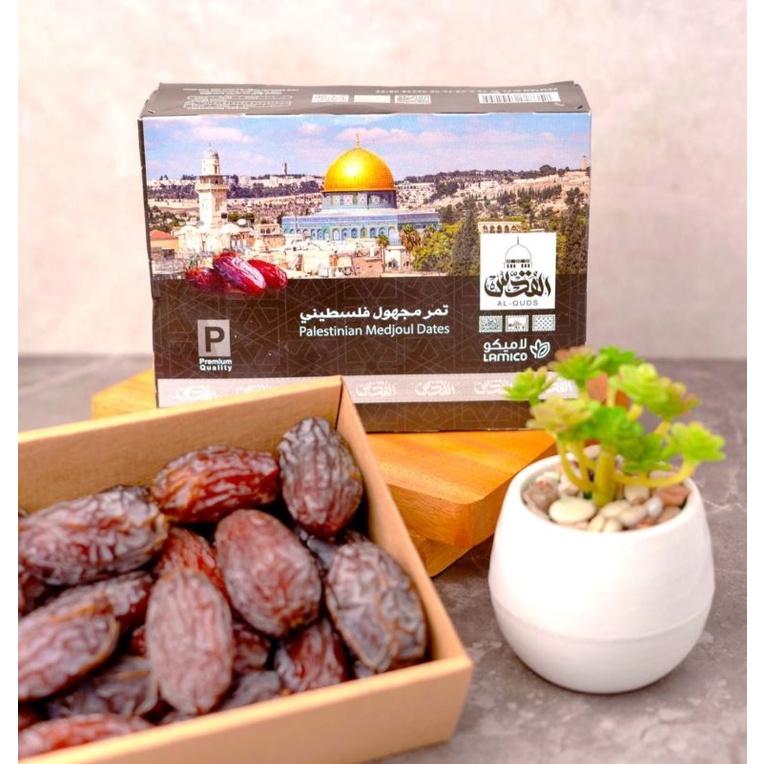 

KURMA MEDJOOL PALESTIN 500GR KURMA PALESTIN JUMBO PALESTINIAN MEDJOUL DATES 500GR ASLI GRADE A+++