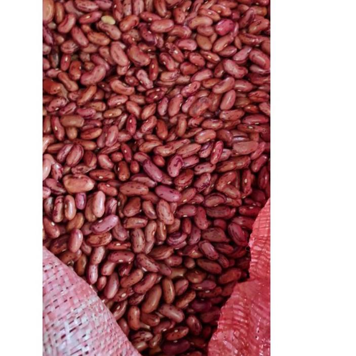 

✨MEN SALE✨ Kacang Merah / Kacang Jogo 1 KG Ukuran Besar Premium Dijamin Fresh!!! gas !!