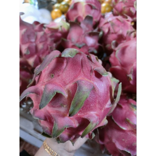 

BUAH NAGA 1 KG