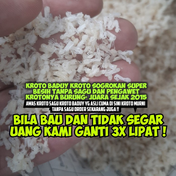 Best Seller Kroto Super Bersih Tanpa Semut Kroto Baduy Beku *Ingat Ini Beku* 1 Ons